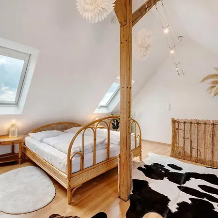 Grosszuegige Maisonettewohnung סינדלפינגן